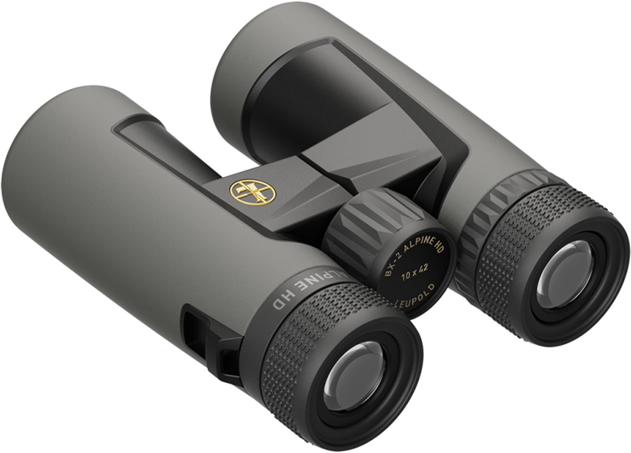 Leupold BX-2 Alpine HD Fernglas 10x42mm – Helles Bild, Robust & Mit Lebenslanger Garantie