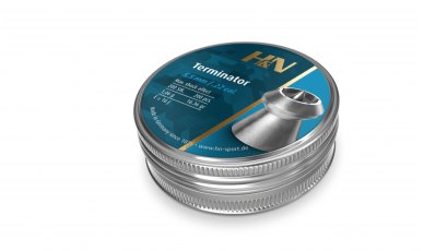 H&N Terminator Air Rifle Pellets .22