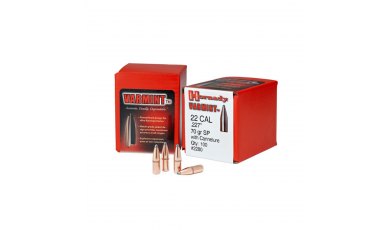 Hornady .22 CAL .45gr HP BEE (2229)