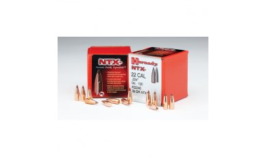 Hornady 20 CAL 24gr NTX (22000)