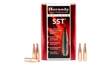 Hornady 25 Cal 117gr SST (25522)