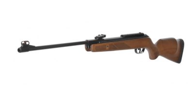 Gamo Hunter 440