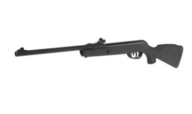 Gamo Delta Air Rifle