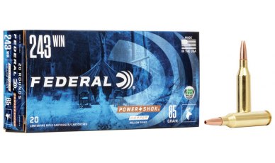 Federal Power-Shok Copper Rifle 243 Win 85gr (24385LFA)