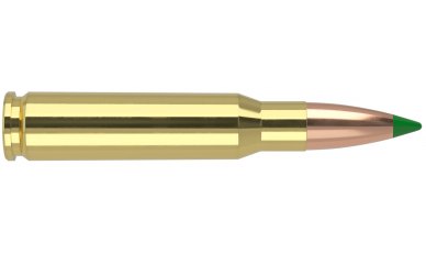 Nosler .308 Win 165gr Ballistic Tip Ammo