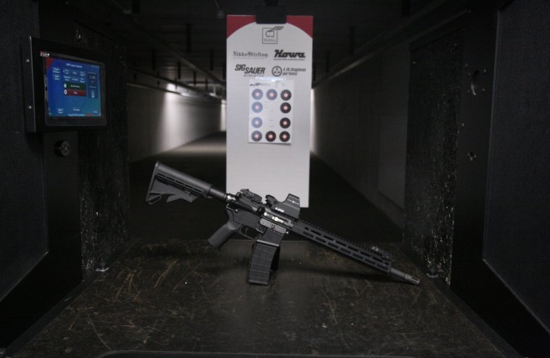 .22 Semi-Auto Rifle Experience