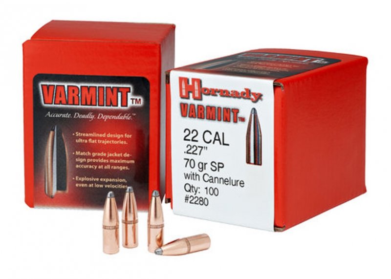 Hornady Hornady .22 CAL .45gr HP BEE (2229)