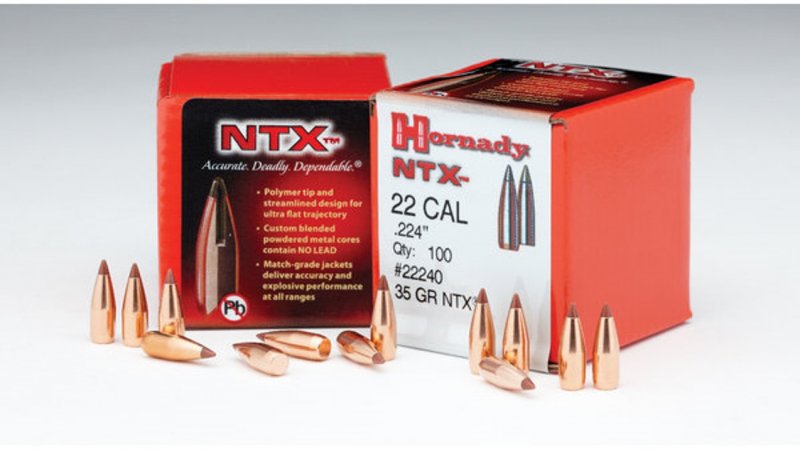 Hornady Hornady 20 CAL 24gr NTX (22000)