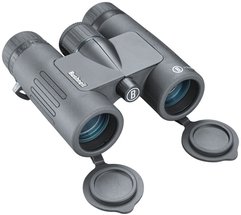 BSA  Bushnell Prime 8X32 Binoculars Optic
