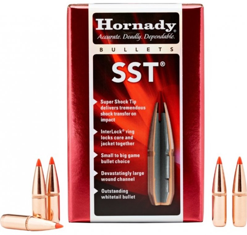 Hornady Hornady 30 CAL 180gr SST (30702)