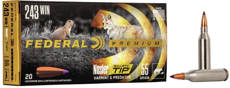 Federal Varmint & Predator Nosler Ballistic Tip 243 Win 55gr (P243H)