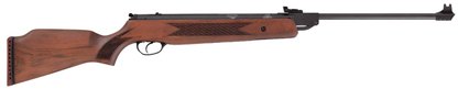 Hatsan Arms Hatsan Model 60S .22