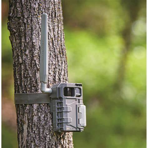 Spypoint LM2 Cellular Trail Camera (Grey)