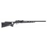 Savage A22 Target Thumbhole Semi-Auto Rifle