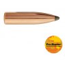 Sierra 6mm 100gr SPT (1540)