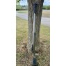 Remington S/H Remington 700 Custom M40A3