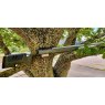 Remington S/H Remington 700 Custom M40A3